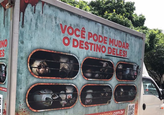 Caminhão com imagens de animais destinados ao abate volta às ruas de São Paulo em ação da SVB