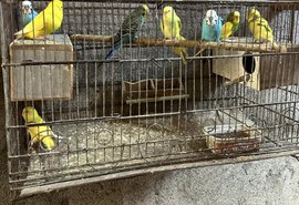 Mais de 120 animais silvestres são resgatados pela PM durante o fim de semana