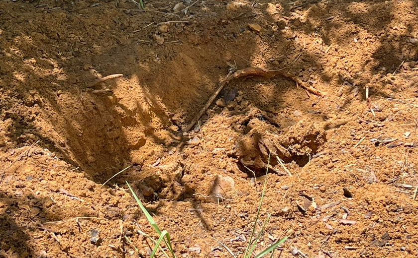 Corpo é encontrado no Litoral Norte; vítima usava peça com referência a Harry Potter