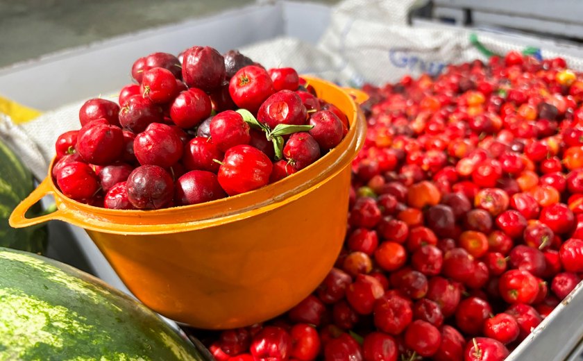 Feira da Agricultura Familiar em Maragogi vai reunir produtores do litoral ao sertão alagoano