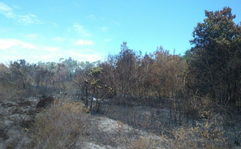 Instrução Normativa disciplina queima controlada em propriedades rurais de Alagoas