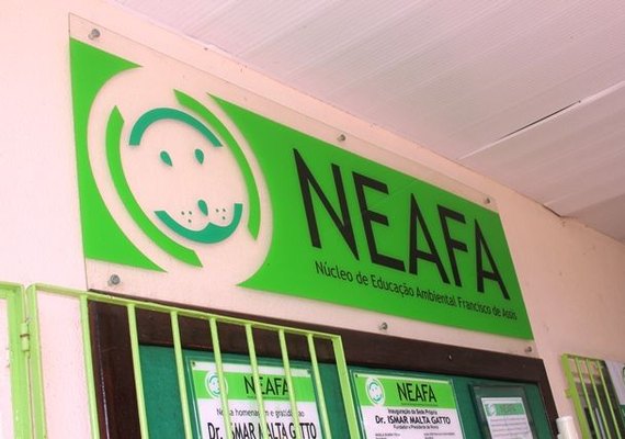 Neafa vai realizar feira de adoção só para gatos no dia 29 de abril