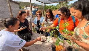 Sebrae impulsiona novas rotas e reposiciona o turismo em Alagoas