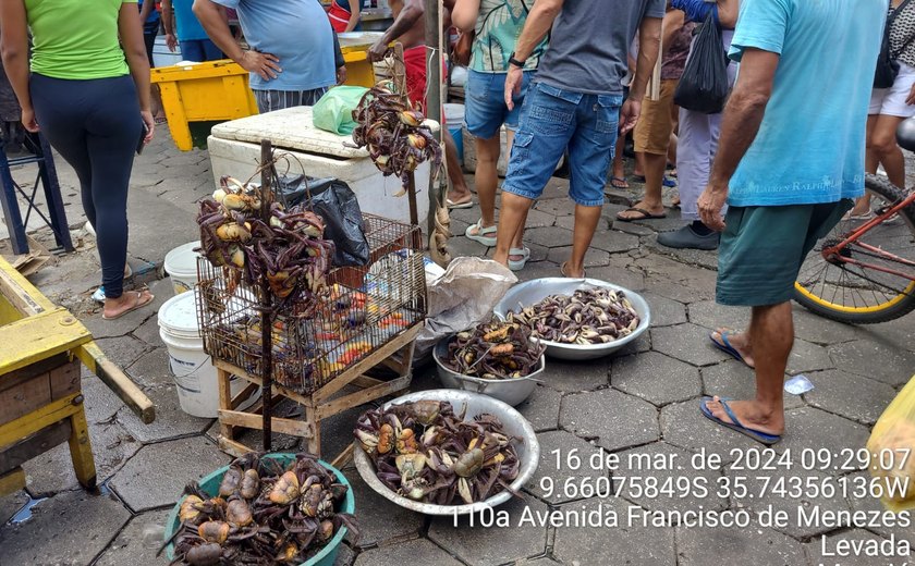 BPA apreende aves silvestres em Junqueiro e flagra comércio ilegal de caranguejos em Maceió