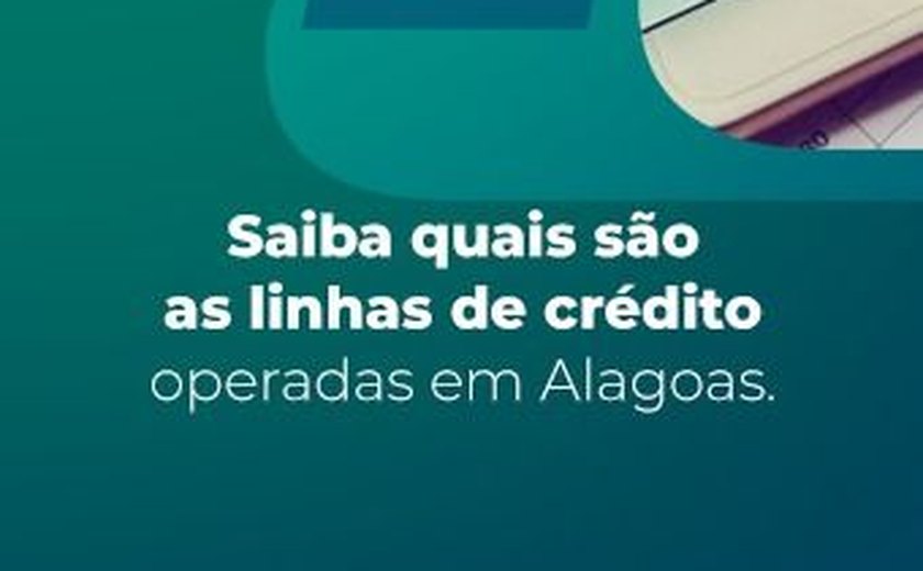 Ferramenta on-line ajuda na busca por linhas de crédito em Alagoas