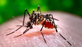 Casos de dengue, zika e chikungunya caem 89% nos primeiros meses de 2017