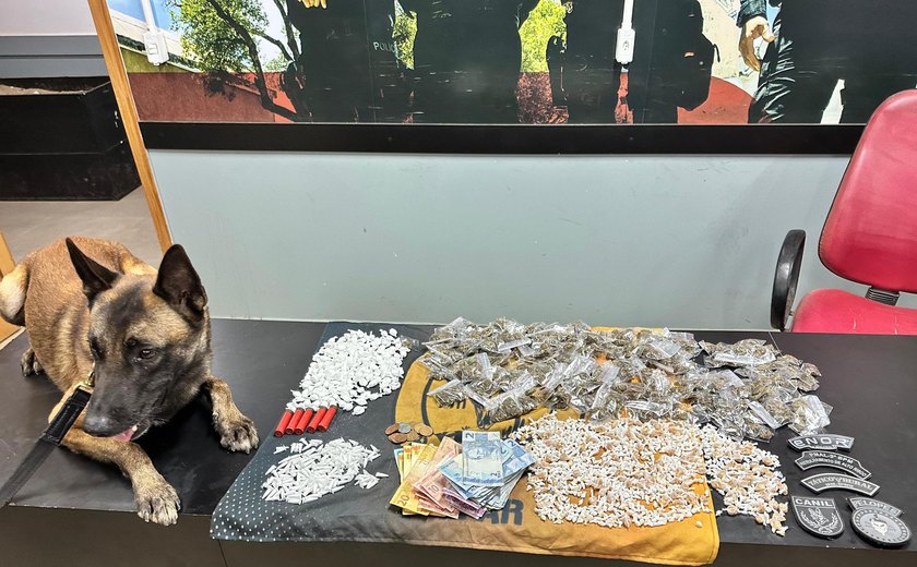 Polícia apreende cerca de 2 mil pedras de crack, munições e outras drogas em Palmeira dos Índios