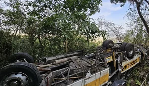 Um ano após tragédia na Serra da Barriga, União dos Palmares ainda sente o impacto do acidente que deixou 20 mortos