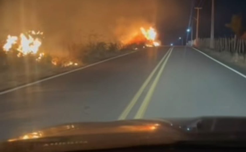 Incêndio às margens da AL-210 assusta motoristas na noite de segunda-feira (19)
