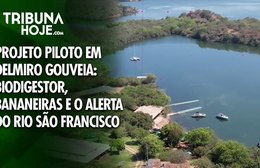 Projeto piloto: biodigestor, bananeiras e o alerta do Rio São Francisco