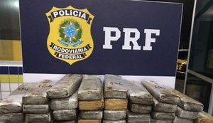 PRF apreende 50 kg de maconha com passageiro de ônibus interestadual