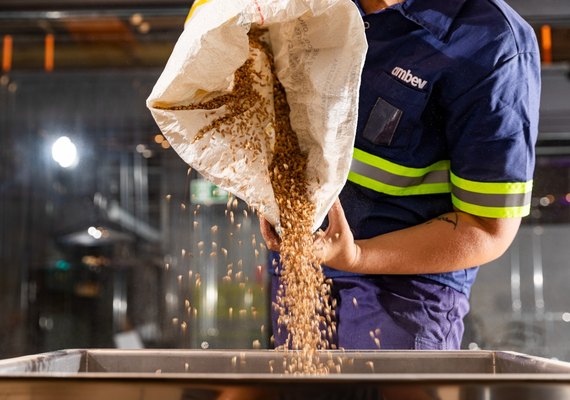 Muito além do Happy Hour: Como a cadeia cervejeira contribui com o meio ambiente?