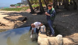 Prefeitura de Maceió encontra esgoto ligado à galeria pluvial