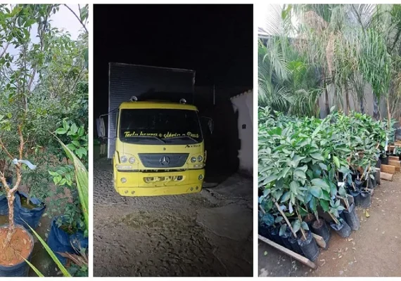 Dono de floricultura é preso suspeito de furtar R$ 300 mil em plantas de concorrente em Divinópolis