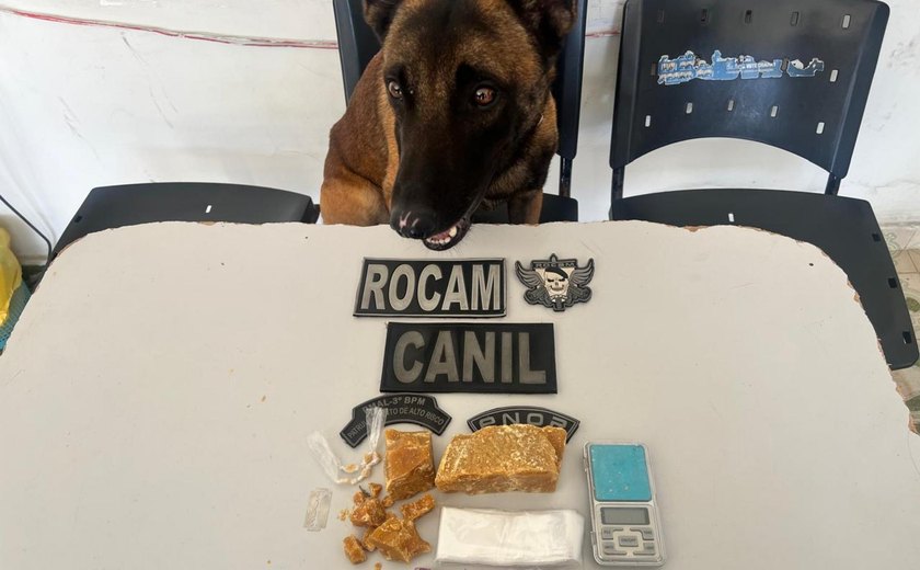 PM flagra tráfico de drogas durante ocorrências em Arapiraca e Piranhas