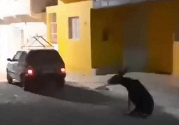 Motorista da prefeitura de Pariconha suspeito de arrastar jegue se apresenta à polícia