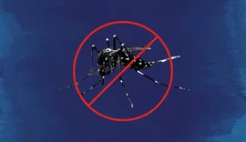 Nordeste já registrou mais de 15 mil casos de dengue em 2024