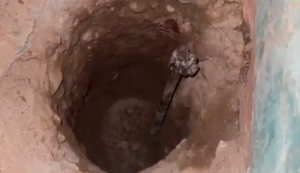 Solo de casas apresentam aquecimento em Penedo