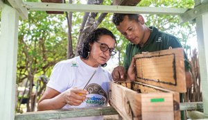 Associação Caatinga celebra em 3 de outubro o Dia Nacional da Abelha com foco no trabalho com meliponicultores