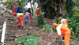 Prefeitura de Maceió realiza reflorestamento em encostas atingidas pelas chuvas