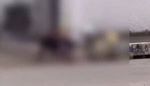 Pitbulls matam gato em via pública e causam pânico no Salvador Lyra