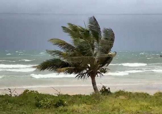 Inmet emite alerta de vendaval para seis municípios alagoanos