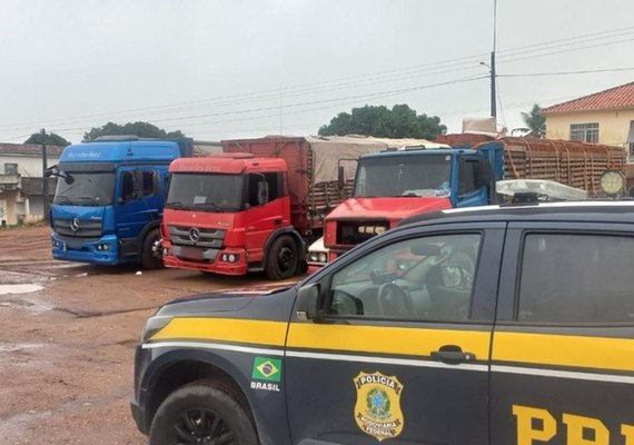 PRF apreende cerca de 31 mil tijolos transportados com irregularidades fiscais em Alagoas