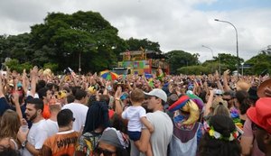 Blocos de Alceu e Elba reúnem multidão no Ibirapuera