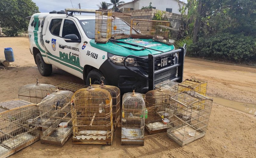 Operação Onda Verde da PM apreende aves silvestres e arma de fogo no interior