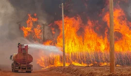 Mais de 80% dos focos de calor em São Paulo estão em áreas de agropecuária