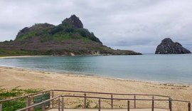 Fernando de Noronha: Praia do Sueste é interditada após criança ser atacada por tubarão