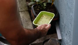 Chikungunya traz preocupações após uma década de presença no Brasil