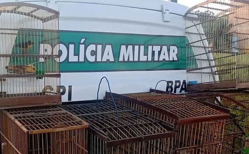 Oito aves silvestres são regatadas em ação  do BPA em Marechal Deodoro