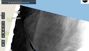 Marinha e Ibama rebatem hipótese levantada por pesquisador sobre origem de óleo