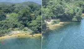 Homem desaparece no Rio São Francisco e equipes são mobilizadas