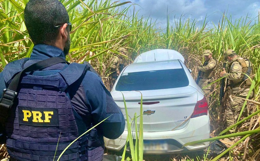 Polícia Rodoviária Federal e Tigre (PC) recuperam veículo roubado em Rio Largo, AL