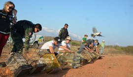 FPI do São Francisco faz soltura de mais de 400 pássaros ao bioma da Caatinga