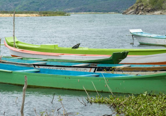 Comitê da Bacia Hidrográfica do Rio São Francisco promove o webinário Canal do Sertão Alagoano