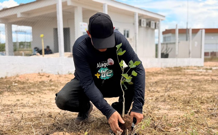 TJAL e órgãos parceiros aliam reflorestamento e educação ambiental em ação no Sertão alagoano