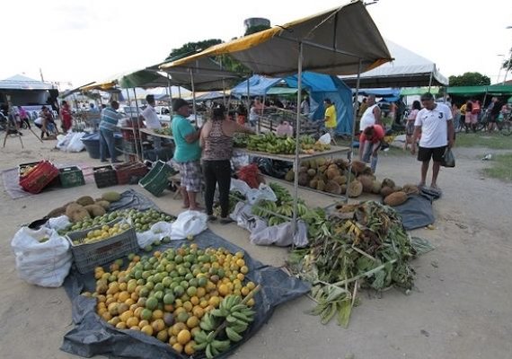 Iteral promove Feira Agrária do Crédito Fundiário em Pão de Açúcar