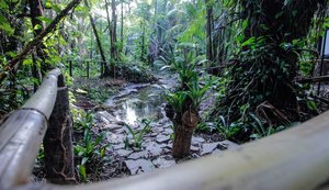 Parque do Horto oferece lazer e educação ambiental para visitantes