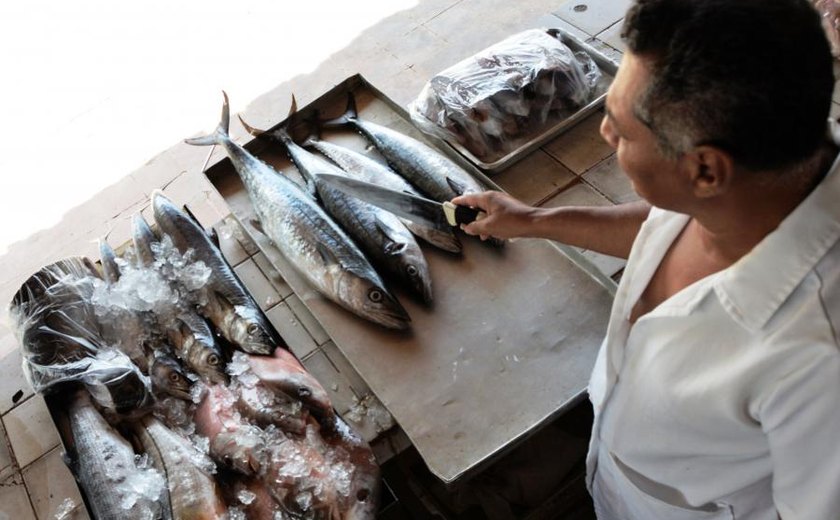 Sesau orienta cuidados na compra e conservação de pescado