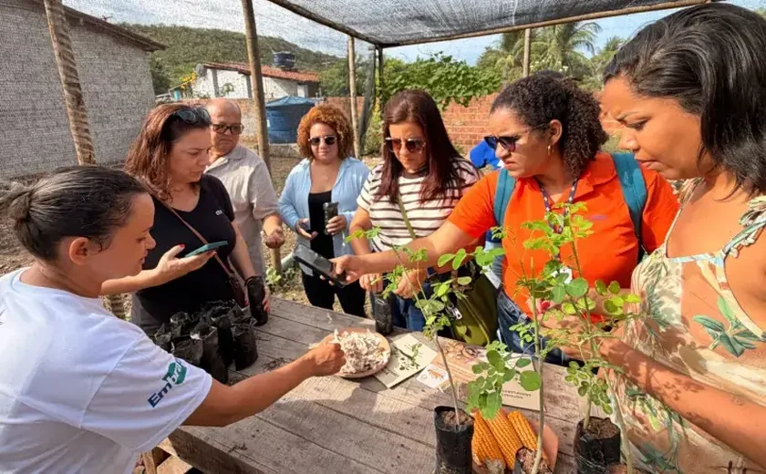 Sebrae impulsiona novas rotas e reposiciona o turismo em Alagoas