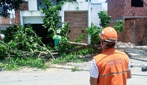 Defesa Civil de Maceió registra três ocorrências após ventos fortes no fim de semana