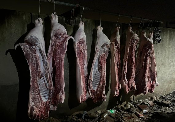 Abatedouro clandestino é embargado e responsáveis autuados por irregularidades