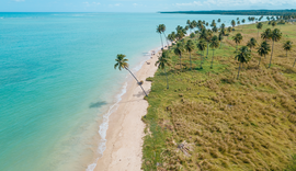 Praia do Patacho recebe renovação do título internacional de sustentabilidade 'Bandeira Azul'