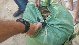 Suspeito de homicídio é preso com 25 kg de maconha armazenada em casa