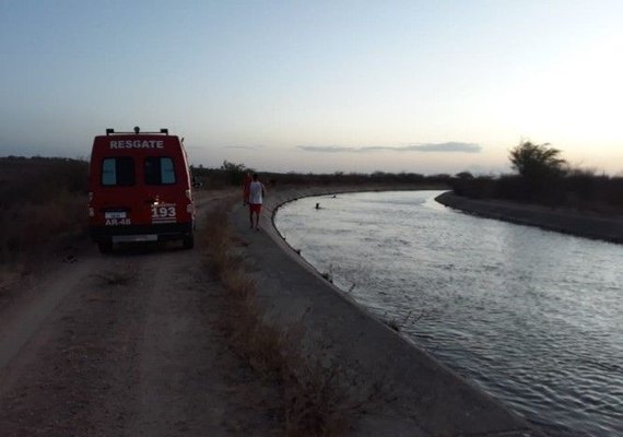 Cavalos são resgatados após caírem no Canal do Sertão