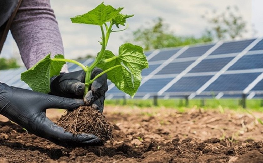 Alagoas representa 1,2% da energia instalada no Brasil e está em franco crescimento