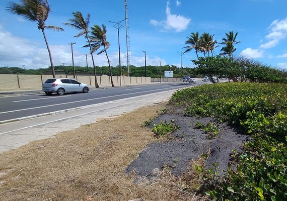 Comunidade do Pontal da Barra  reclama de suposto crime ambiental